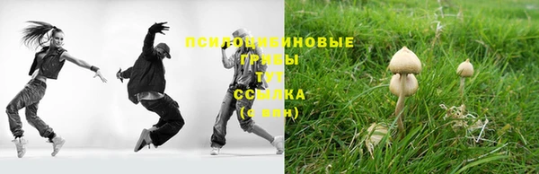 COCAINE Белокуриха