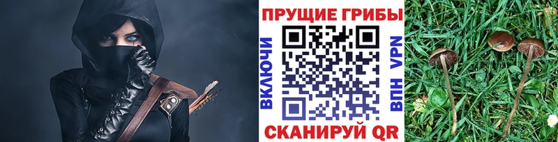 Псилоцибиновые грибы MAGIC MUSHROOMS  блэк спрут как войти  Топки 